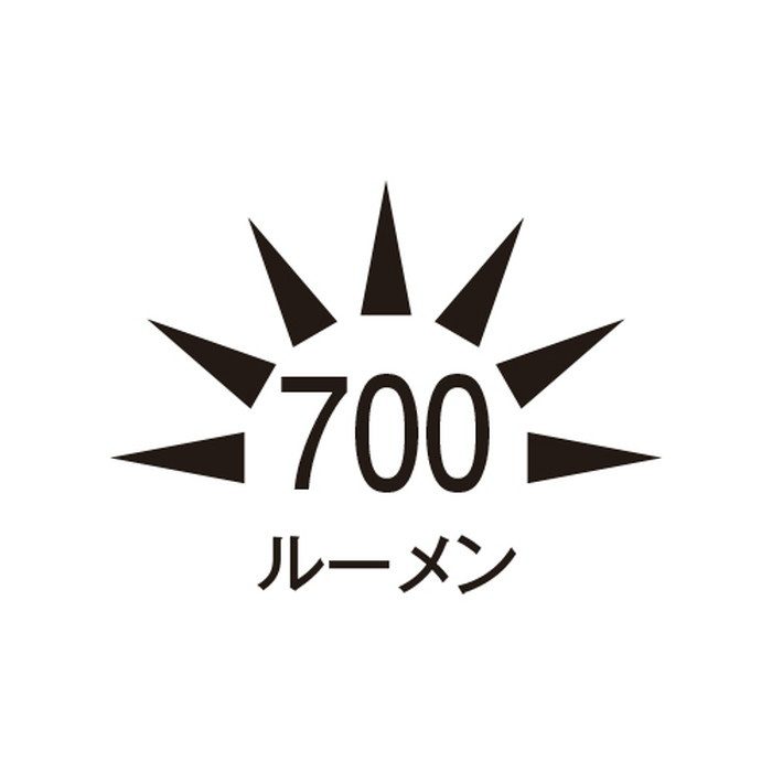 充電式 作業灯/LED マグネット付 EA814EC-22 エスコ ESCO - その他DIY