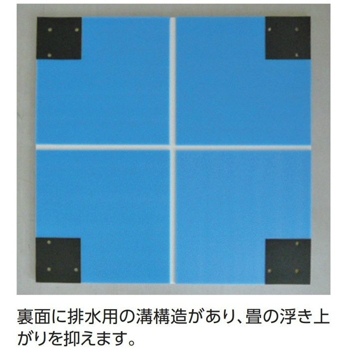 お風呂場用畳 湯ったりたたみ TC19076
