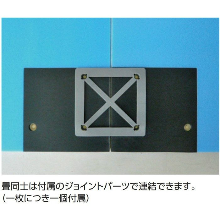 お風呂場用畳 湯ったりたたみ TC19076