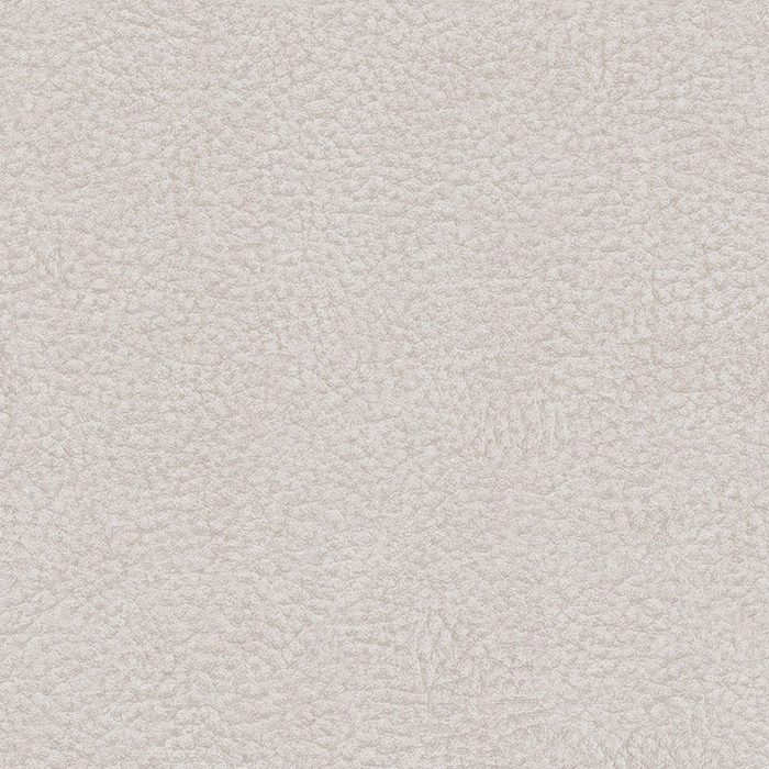 LE-2181PV 抗ウイルス・抗菌シリーズ ダイノックフィルム 1220mm×50m