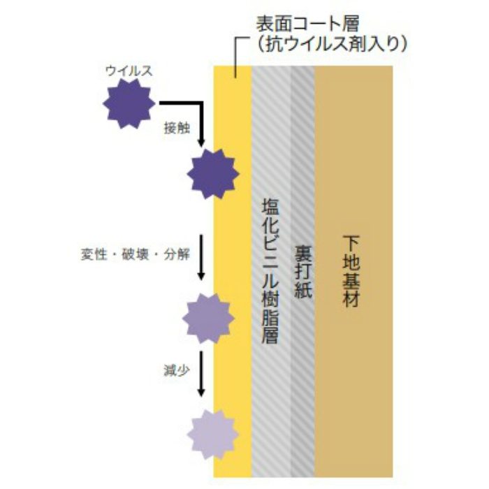 TH-32550  フェイス 抗ウイルス壁紙