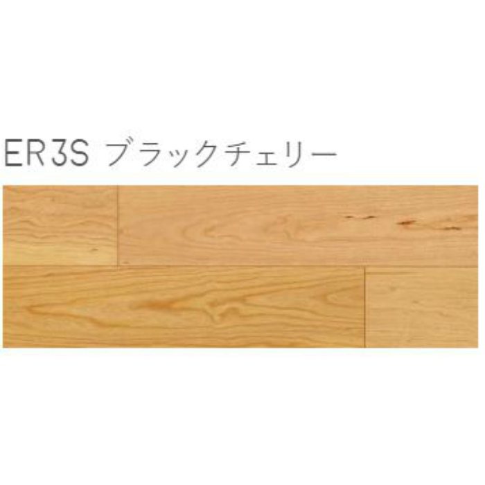 SK23 化粧巾木 ダイナクティブフロアー 匠rustic ER3S ブラック