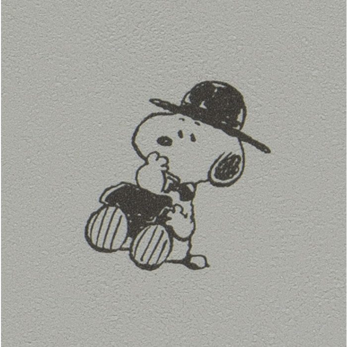 その他 SNOOPY PEANUTS 75th バイスクルトランプ