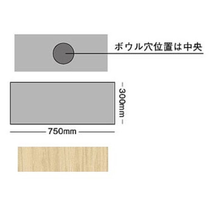 HW01C751-K1V26 手洗カウンターセット Any PLUS ベンリーシンク 手洗器ホワイト カウンター（横幅750mm カラー1） 混合栓 止水栓壁配管 排水トラップ壁配管