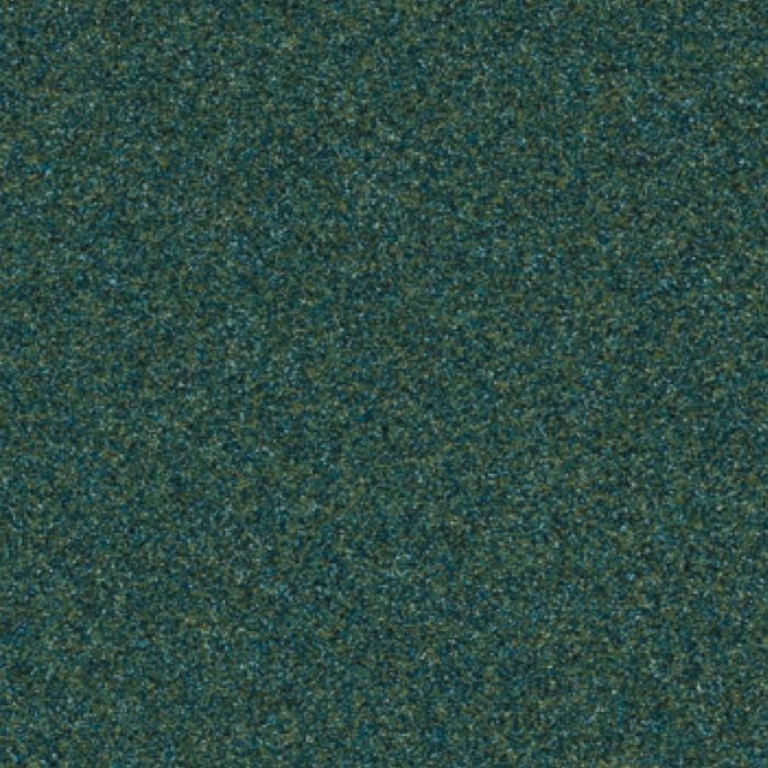 HTE2009 ヒトエ ファイン 単層ビニル床シート 厚2mm 幅2000mm フォレスト