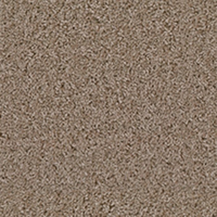 MCC333  MORRIS CHRONICLES ROLL CARPET MORRIS CUT PILE 11.6mm×3640mm×40000mm