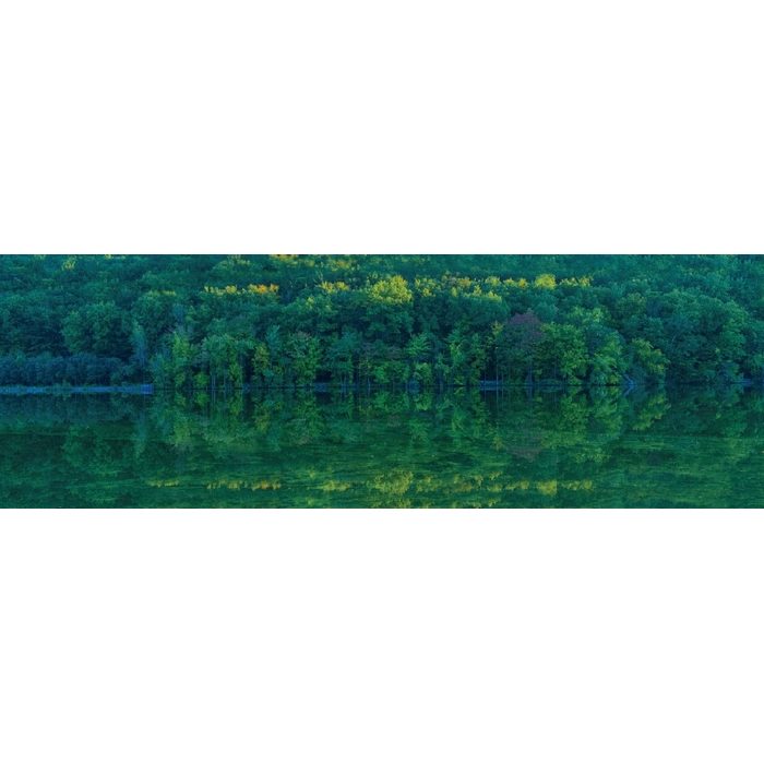 D8066WD ウィル インクジェットプリント壁紙 デジタル・デコ 森（PEACE OF FOREST） タリータウンの森 塩ビ石目 W90cm×H270cm