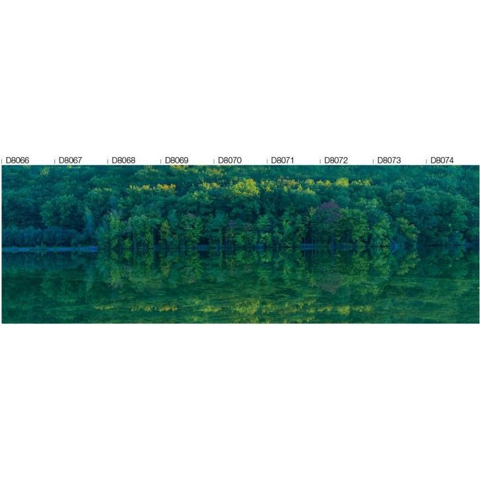 D8066WE ウィル インクジェットプリント壁紙 デジタル・デコ 森