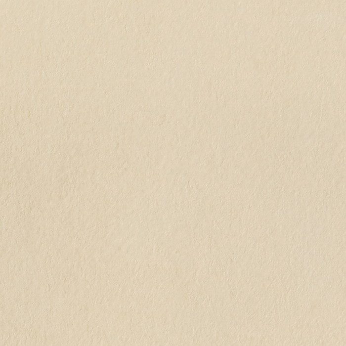 TN-5660  リアテック スタッコ   プラスター アーバンプラスター 巾1220mm