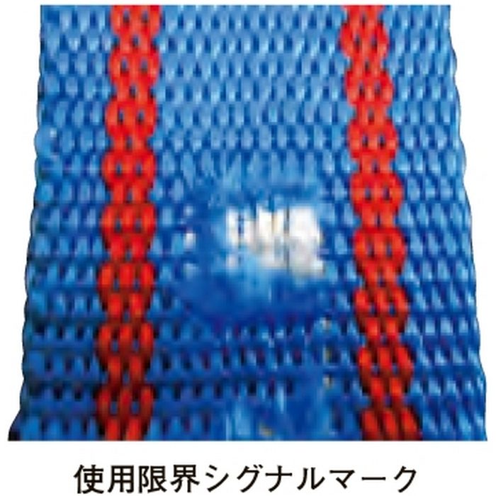 DS-10060 スリングベルト 両端アイ型 100mm×6m