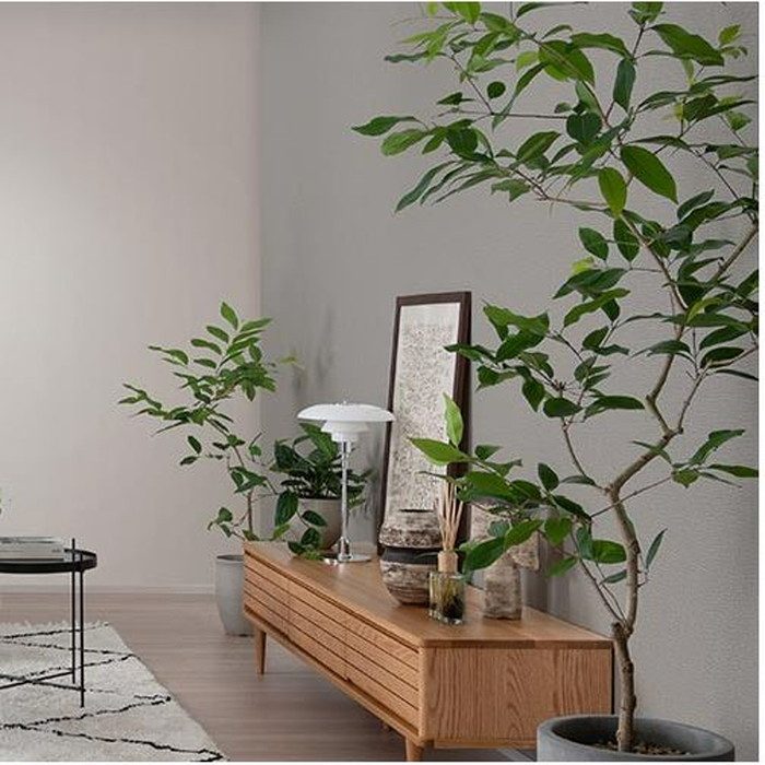 RM860 ルノンマークⅡ カラー＆テクスチャー 巾92cm ミディアムグレージュ