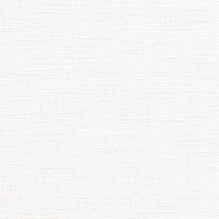 RM861 ルノンマークⅡ カラー＆テクスチャー 巾92cm