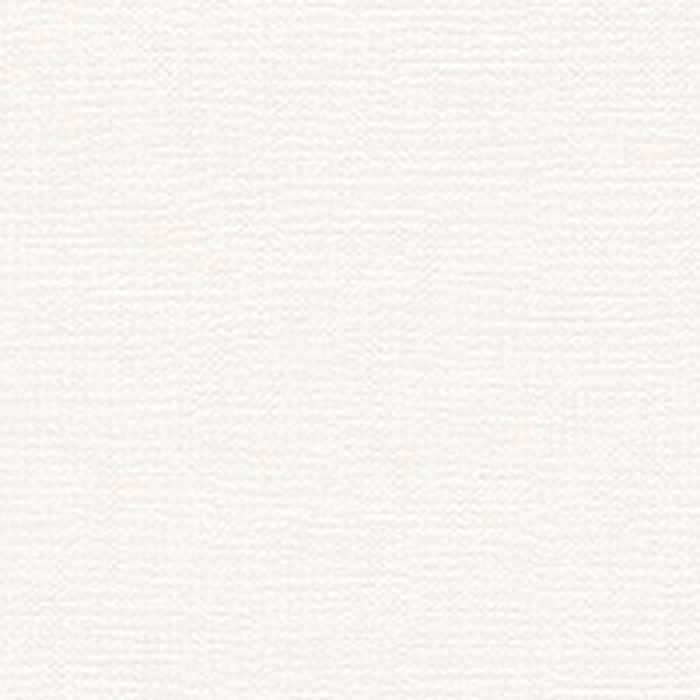 RM870 ルノンマークⅡ カラー＆テクスチャー 巾92cm 白