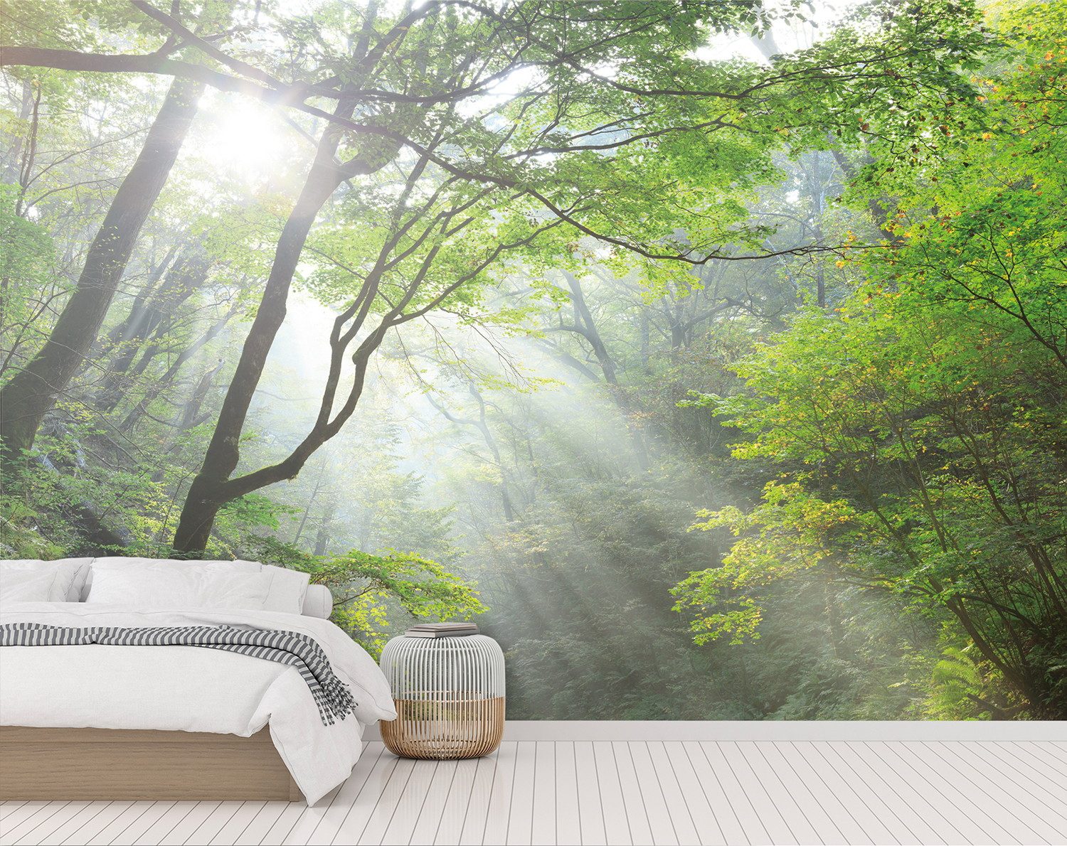 HZ7033S リザーブ ハイグラフィカ 風景写真 軽井沢 森の朝 1800mm