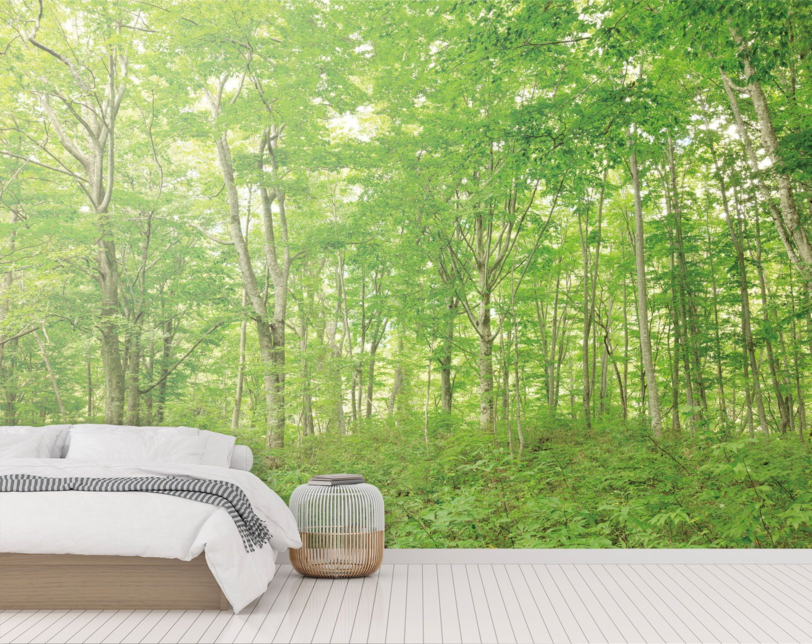 HZ7042L リザーブ ハイグラフィカ 風景写真 白神山地 ブナ林 3600mm