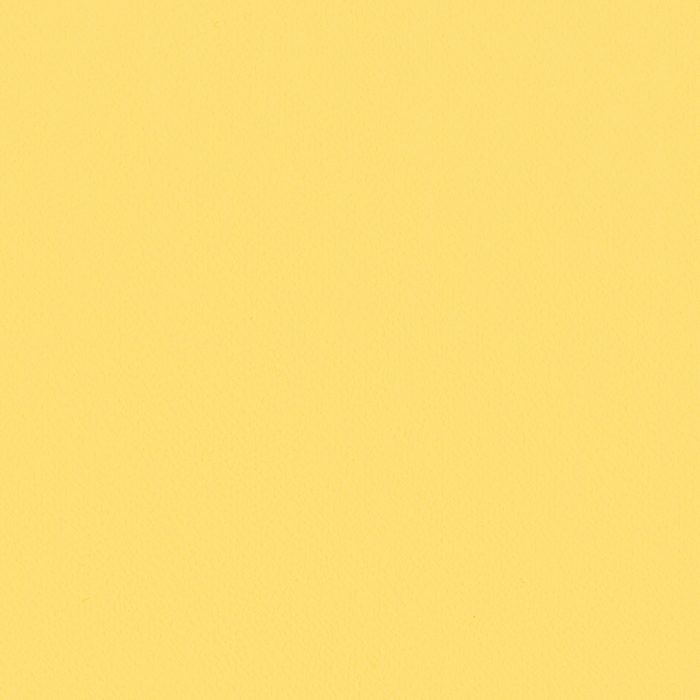 LV-2021 V-ウォール 壁紙 Lilycolor British Colours 巾92cm Dandelion