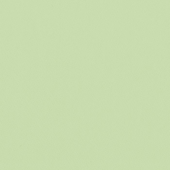 LV-2024 V-ウォール 壁紙 Lilycolor British Colours 巾92cm Gooseberry