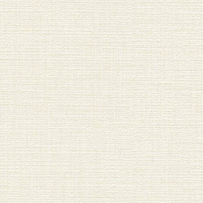 BA7024 ビッグエース(BIGACE)クロス 抗ウイルス トルウィルスS 耐クラック 巾92.5cm