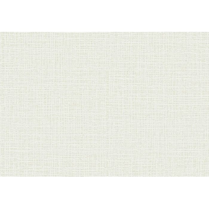 BA7052 ビッグエース(BIGACE)クロス ダブル消臭 エアセラピシリーズ 巾92.5cm