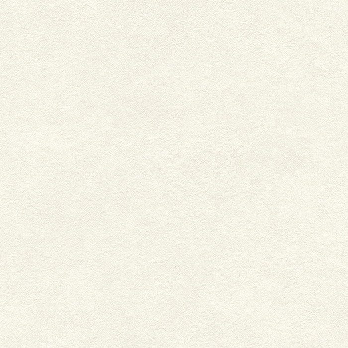 BA7139 ビッグエース(BIGACE)クロス 調湿 吸放湿 シッカクロス 巾92.5cm