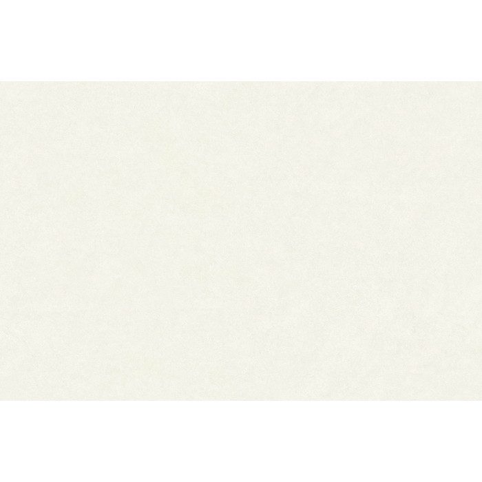BA7139 ビッグエース(BIGACE)クロス 調湿 吸放湿 シッカクロス 巾92.5cm