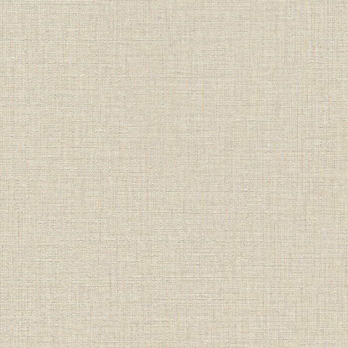 BA7232 ビッグエース(BIGACE)クロス マテリアル調 巾92cm