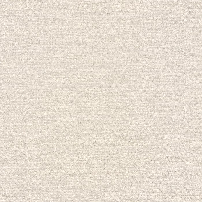 VS8019 VSシリーズ ロングライフ品 巾92cm