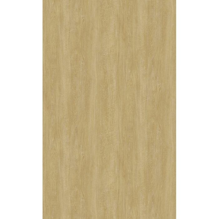 DW-2477MT ダイノックフィルム ドライウッド 1220mm エルム 板目【セール開催中】