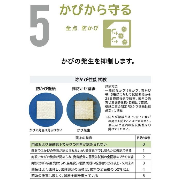 TS129 TSクロス 織物