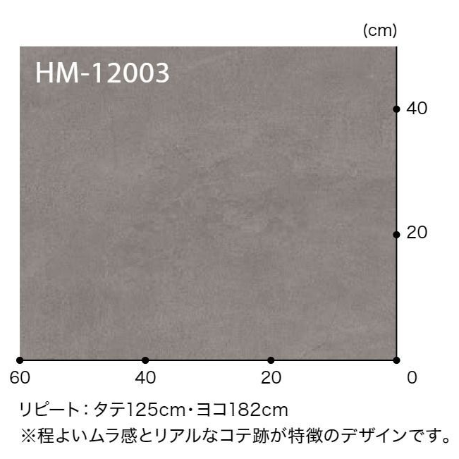 HM-12003  ホームフロア 住宅用クッションフロア STONE ドライプラスタ（目地なし）