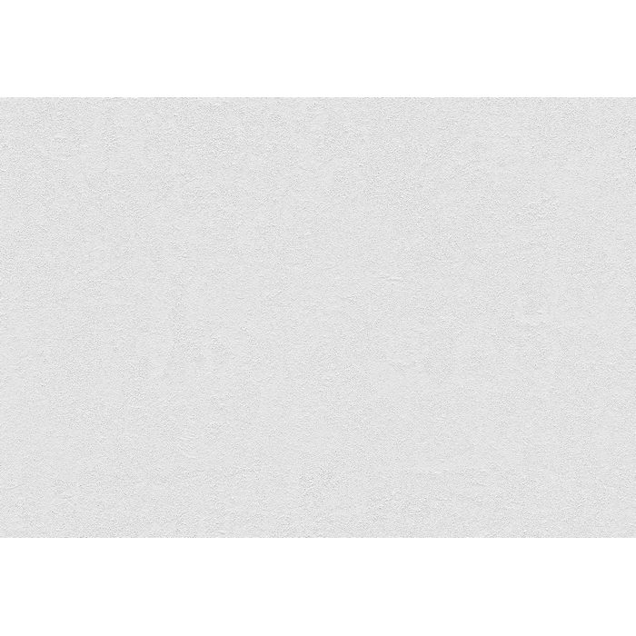 BB2131 ベスト クロス壁紙 巾92.5cm grayish tone