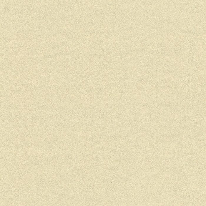 BB2462 ベスト クロス壁紙 素材・エコ壁紙 巾92cm