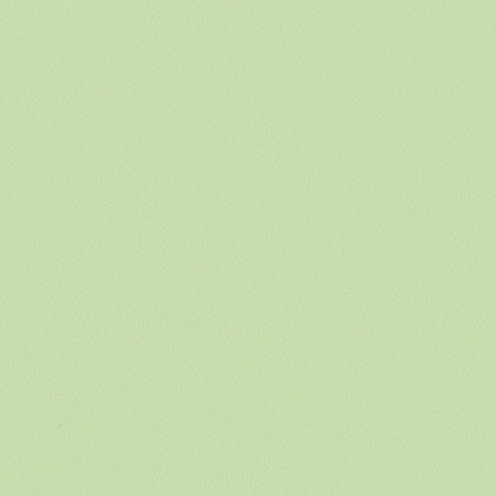 LL-6306 ライト Lilycolor British Colours 巾92cm Gooseberry