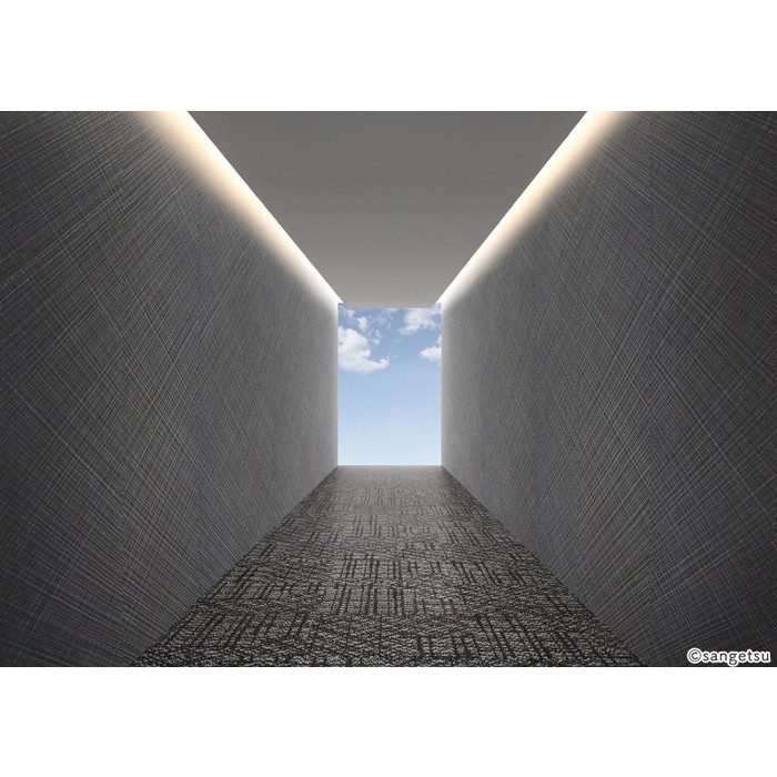 SGP1755 エクセレクト KAGETOHIKARI しゃらしゃら 900mm×3000mm