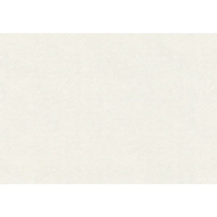 BA3113 ビッグエース(BIGACE)クロス ハードタイプ 汚れ防止 92cm