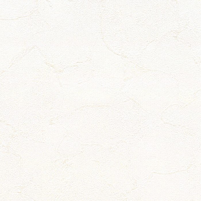 BA3119 ビッグエース(BIGACE)クロス ハードタイプ 汚れ防止 92.5cm