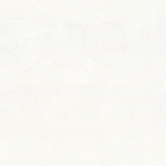 BA3119 ビッグエース(BIGACE)クロス ハードタイプ 汚れ防止 92.5cm