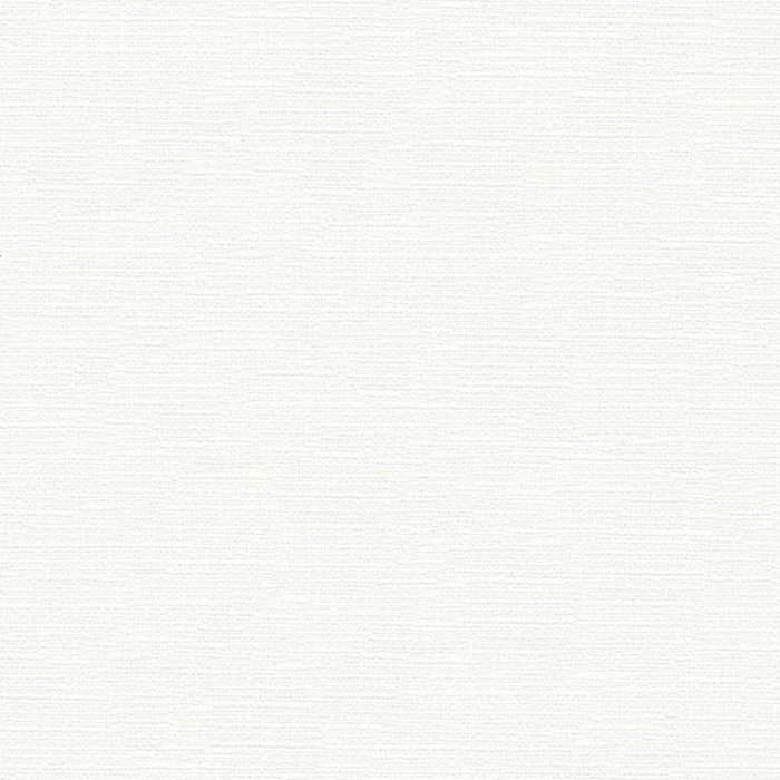BA3211 ビッグエース(BIGACE)クロス ハードタイプ 汚れ防止 92cm