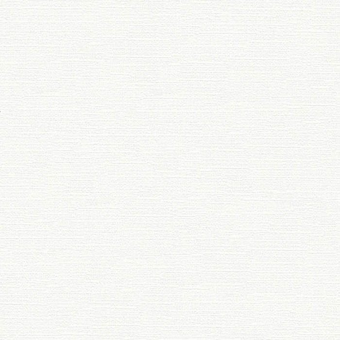 BA3211 ビッグエース(BIGACE)クロス ハードタイプ 汚れ防止 92cm