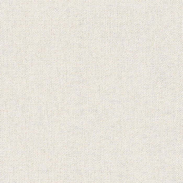 BA3214 ビッグエース(BIGACE)クロス ハードタイプ 汚れ防止 92cm