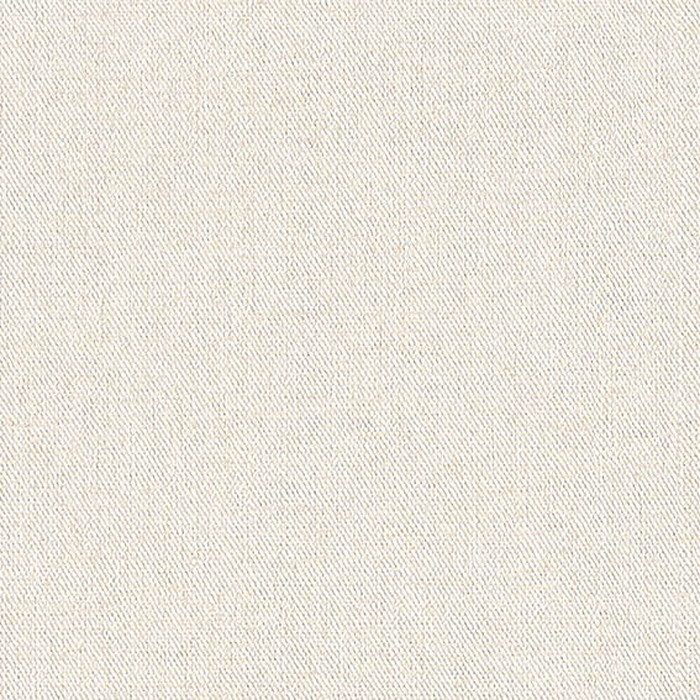 BA3214 ビッグエース(BIGACE)クロス ハードタイプ 汚れ防止 92cm