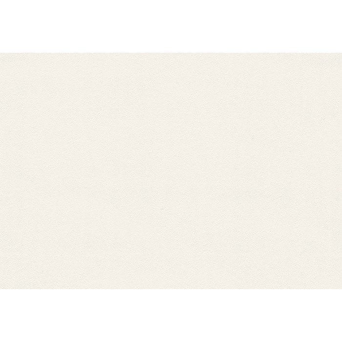 BA3098 ビッグエース(BIGACE)クロス トルウイルスS耐クラック 92.5cm
