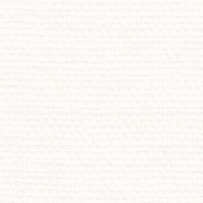 LWT1755 ウィル 塗装用壁紙 P-WALL 巾100cm