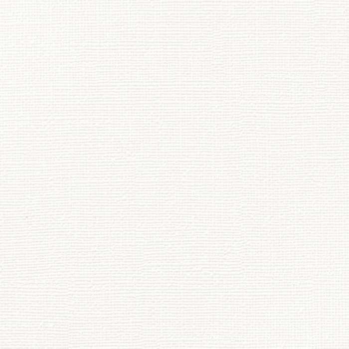 FE78613 ファイン プロジェクター用壁紙 920mm