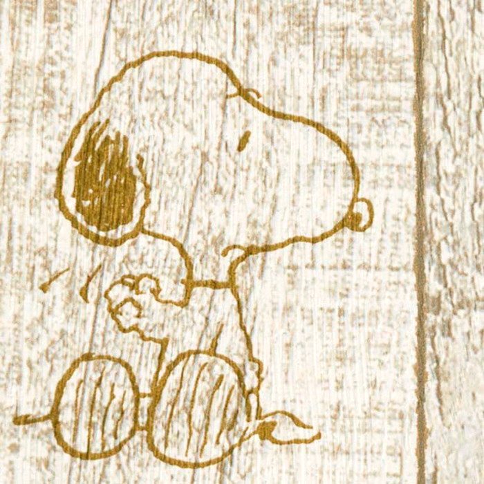 FE78711 ファイン SNOOPY 920mm